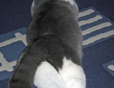 开云体育登录-文班亚马教科书式攻防闪耀全场，马刺加时逆转热火诠释未来可期