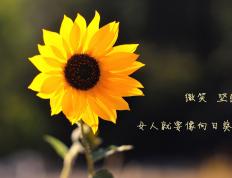 开云平台-铁闸的怒吼，富安健洋一锤定音，乌拉圭让尤文梦碎决胜局