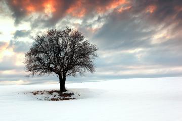 开云官网-休斯顿奇迹，火箭队史诗逆转终结费城王朝