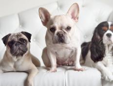 开云体育官网-足球双线风暴，德甲争冠白热化，日本冲垮瑞典创奇迹