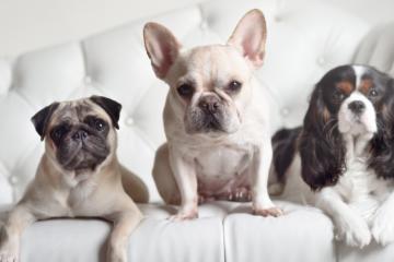 开云体育官网-足球双线风暴，德甲争冠白热化，日本冲垮瑞典创奇迹