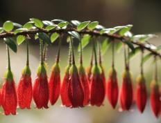 开云体育官网-巴尔韦德铁血交响曲，艺术足球与钢铁意志的终极对决