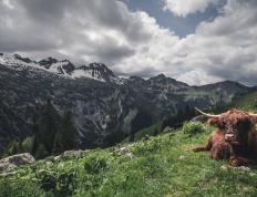开云官网-凯塞多实力证名之战，芬兰力克墨西哥，新星闪耀国际赛场