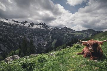 开云官网-凯塞多实力证名之战，芬兰力克墨西哥，新星闪耀国际赛场