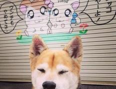 开云体育官网-罚进点球后的激情呐喊！欧冠之夜萨内挣脱伪装者枷锁