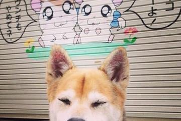 开云体育官网-罚进点球后的激情呐喊！欧冠之夜萨内挣脱伪装者枷锁