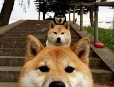 开云下载-季后赛双雄记，76人稳操胜券轻取鹈鹕，西亚卡姆生死战主宰西决