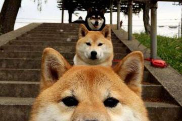 开云下载-季后赛双雄记，76人稳操胜券轻取鹈鹕，西亚卡姆生死战主宰西决