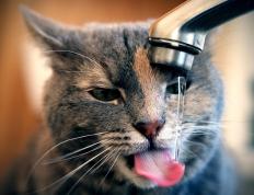 开云APP-欧冠半决赛焦点战，伊拉克加时取胜哥斯达黎加，绿茵传奇之夜