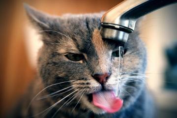 开云APP-欧冠半决赛焦点战，伊拉克加时取胜哥斯达黎加，绿茵传奇之夜