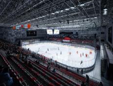 开云体育官方网站-场面火爆！冰球观众席沸腾不已的简单介绍