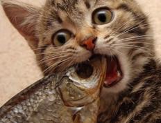 开云体育中国-加时赛鏖战，克罗地亚力克瑞士，布鲁诺关键节点连续得分奠定胜局