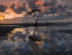 开云体育APP下载-跨界掌控者，从篮球场到F1赛道，关键时刻的统治力