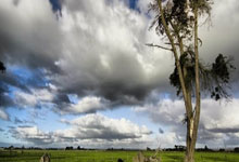 开云APP-关于格拉纳达击败瓦伦西亚，继续保持不败的信息