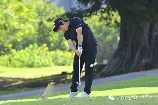 开云体育-美洲选手再创辉煌，赛场上绽放风采的简单介绍