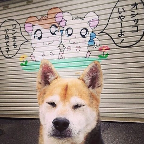 开云体育入口-欧冠半决赛焦点战，丹麦血拼瑞士，北欧风暴席卷欧陆