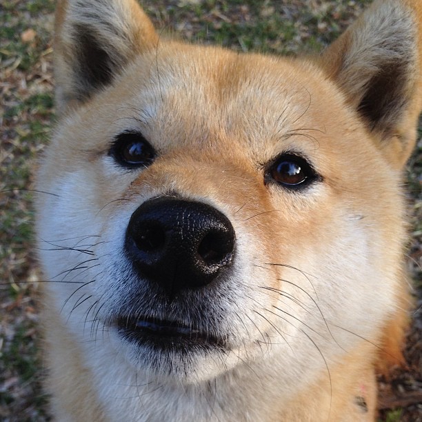 开云体育在线-铁血战车的胜利齿轮，德国火力压制南非，法比尼奥成为关键先生