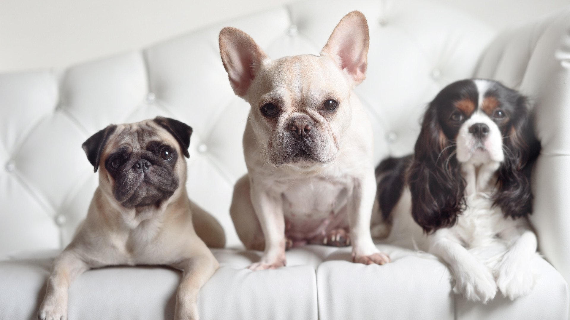 开云体育app-马克西独舞纽约城,尼克斯主场力擒热火