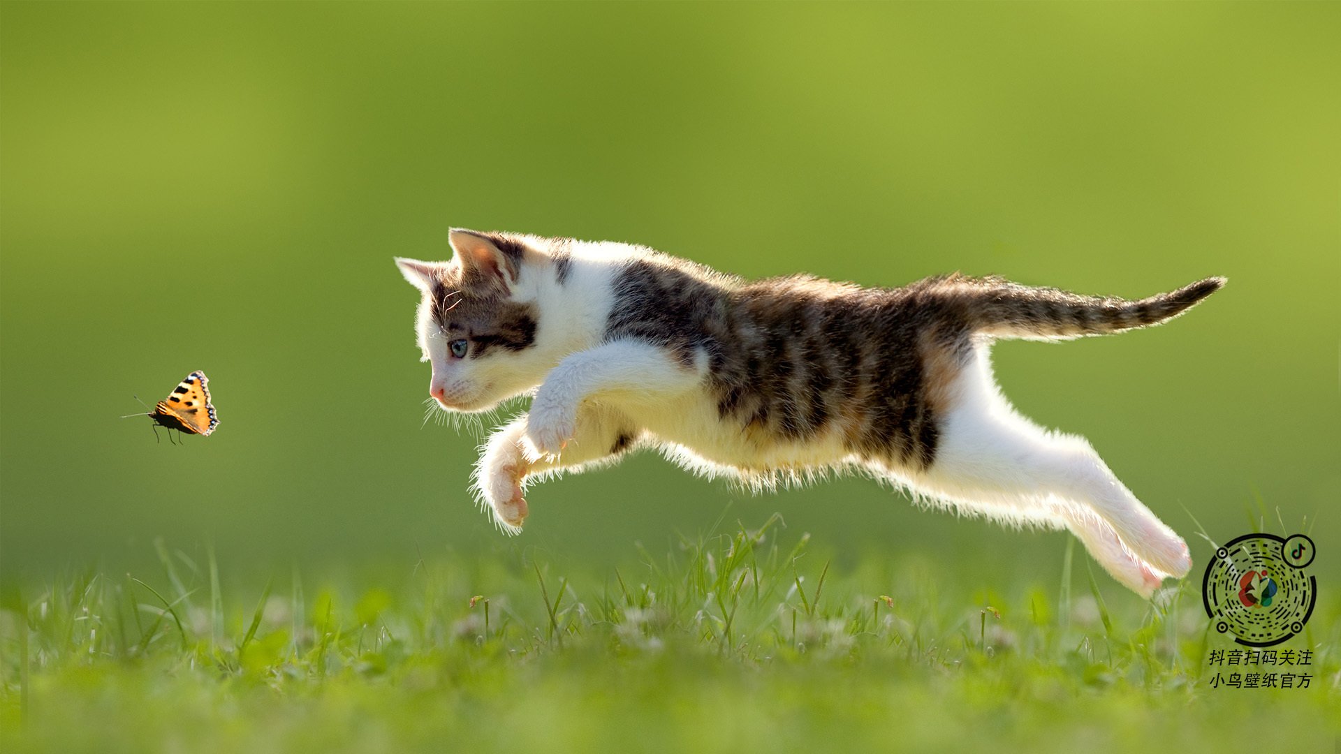 开云下载-门迪的救赎，冰岛防线封锁尼斯之夜