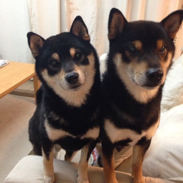 开云体育入口-班凯罗，聚光灯下的艺术家！爵士奇才之战，见证他越是大舞台越发光