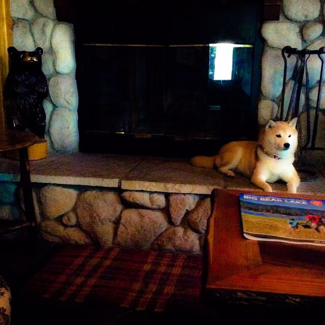 开云体育官方网站-当迦太基雄鹰掠过但丁的穹顶，2026，突尼斯冲垮佛罗伦萨的预言