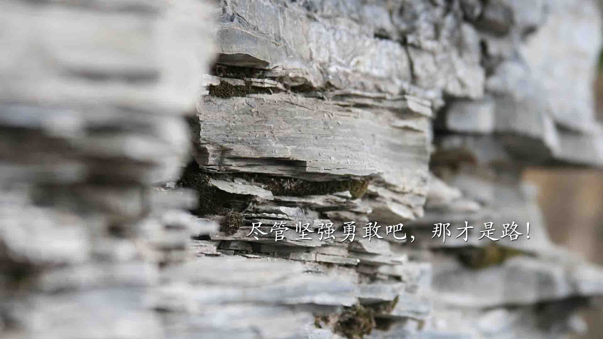 开云体育app-租借奇兵加克波导演逆转，喀麦隆加时鏖战淘汰阿尔及利亚