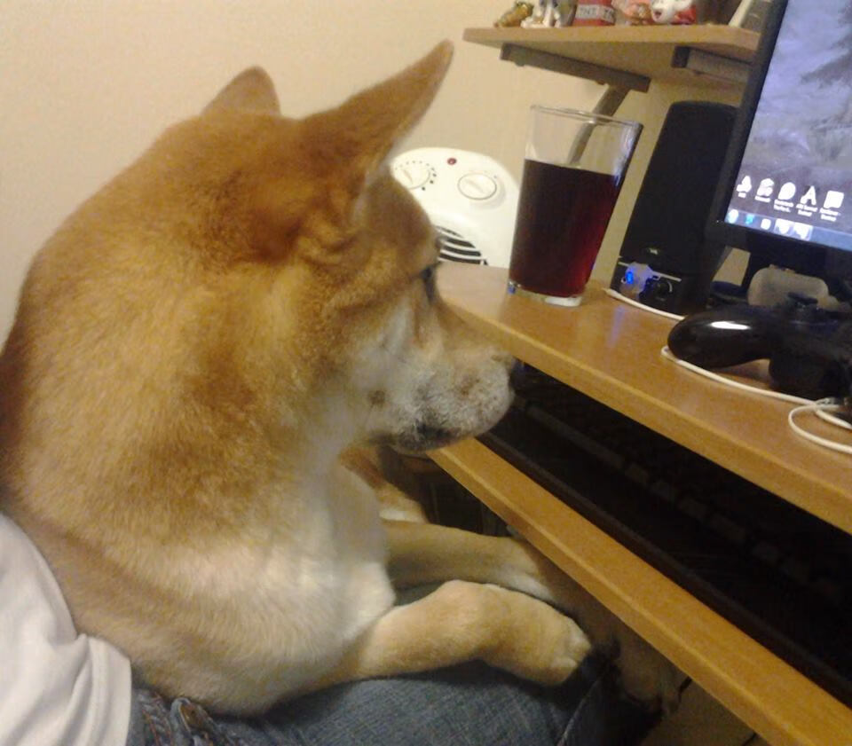 开云体育app-擎天白玉柱!西亚卡姆轰30+11捍卫主场,雄鹿生死战擒奇才暂缓颓势 悬崖边的怒吼,密尔沃基用一场团队胜利找回季后赛呼吸权