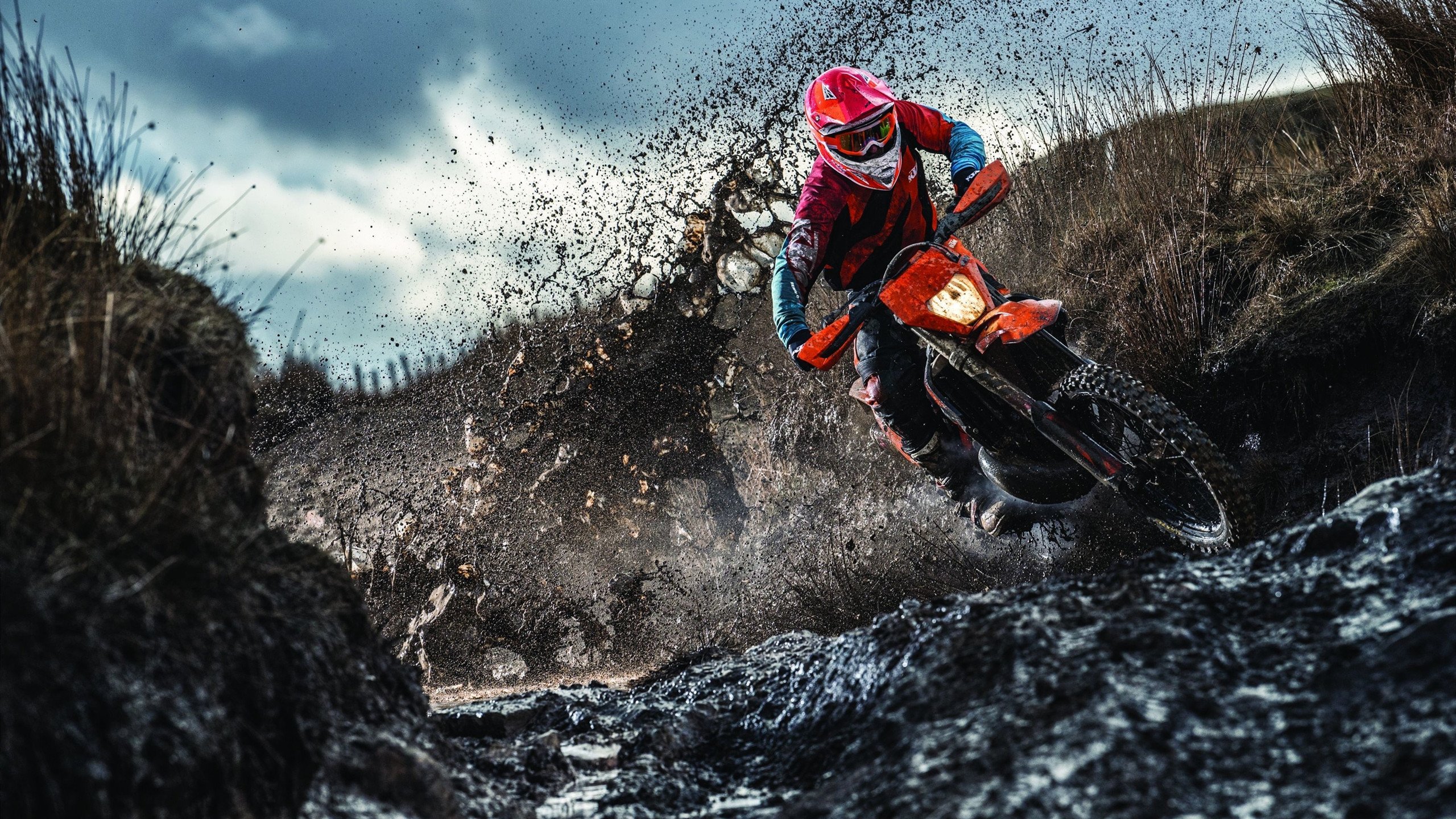 开云体育官网-速度与激情，F1街道赛焦点战与热火翻盘灰熊的逆转史诗