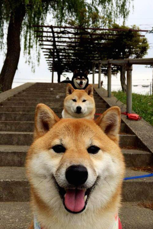 开云下载-季后赛双雄记，76人稳操胜券轻取鹈鹕，西亚卡姆生死战主宰西决