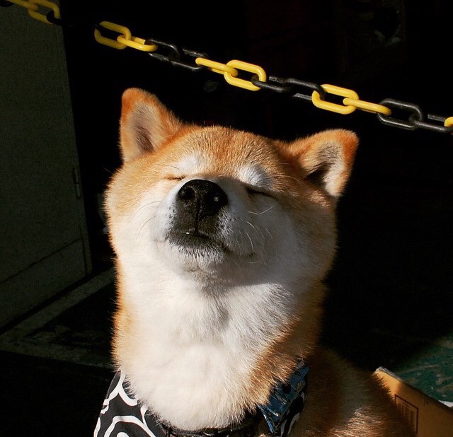 开云体育官方网站-跨界风暴,佩德里F1揭幕战惊天接管,美国速胜法国谱写体育周末狂想曲