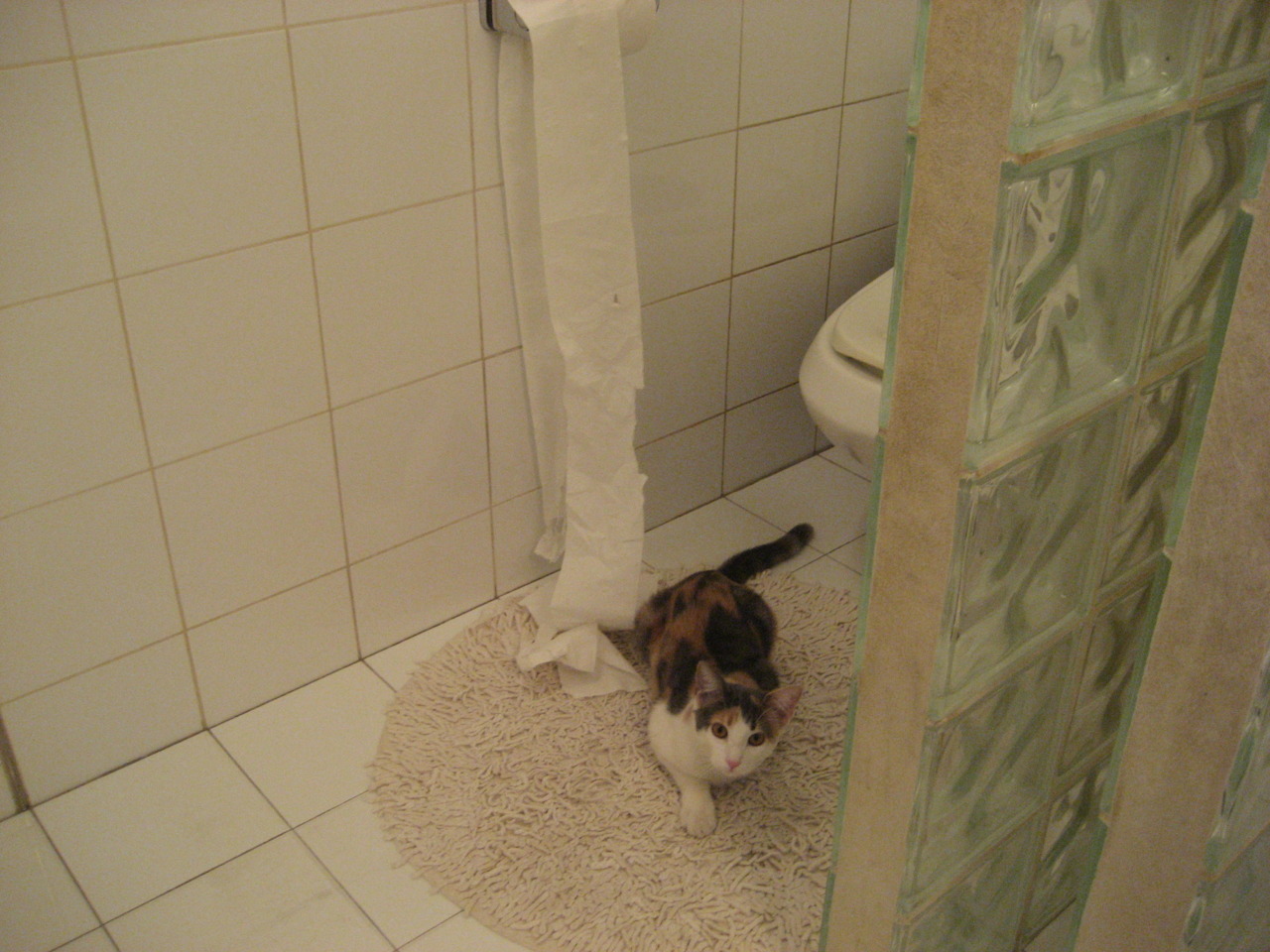 开云官网-切特一箭穿心定乾坤,魔术制霸令上海队俯首