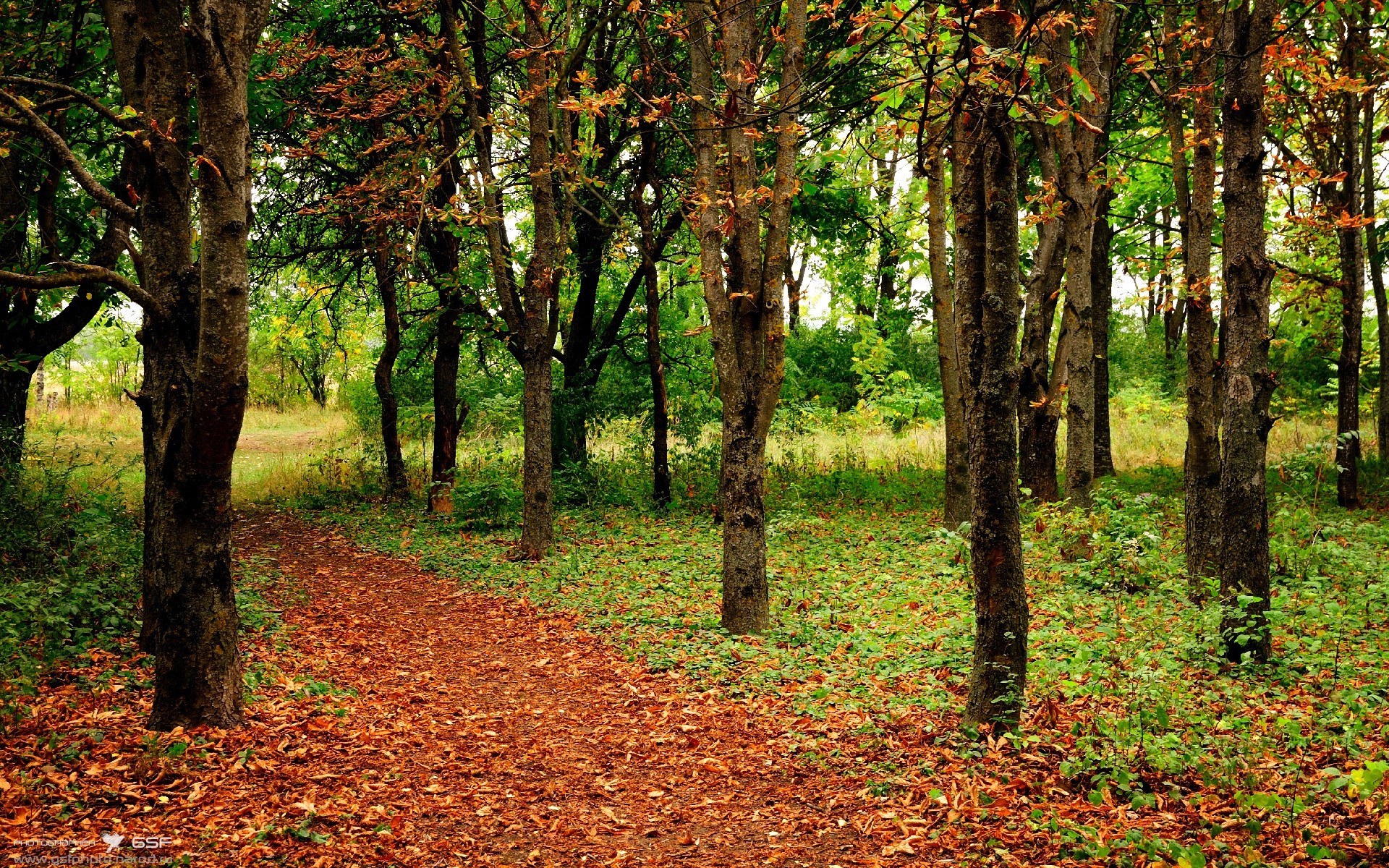 开云体育平台APP-铁血与艺术的碰撞,葡萄牙战术碾压墨西哥挺进八强